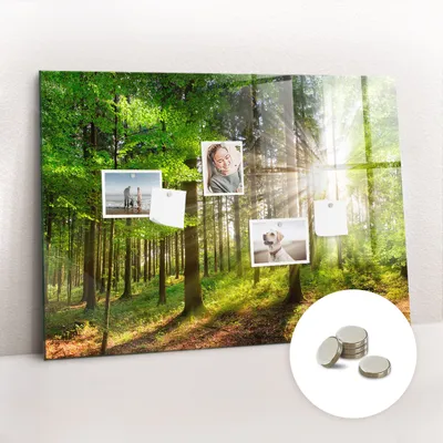 Obrázek produktu pro Magnetická Tabule na Zeď Skleněná - Memo Board Kleněnou Přední Stranou - 5 magnetů v balení - 100x70 cm - Východ slunce v lese