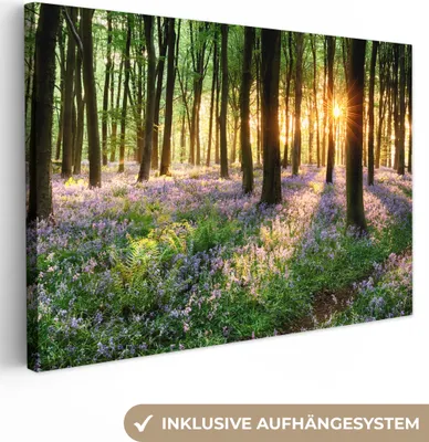 Produktbild von MuchoWow® - Leinwandbilder - Wald - Blumen - Lavendel - Sonne - Lila - Natur, Wandbild, Wanddeko Bilder Wohnzimmer, 120x80cm