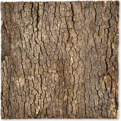 Immagine prodotto di BioVirgin Sfondo di sughero scuro 30x30cm Sfondo di sughero per terrari