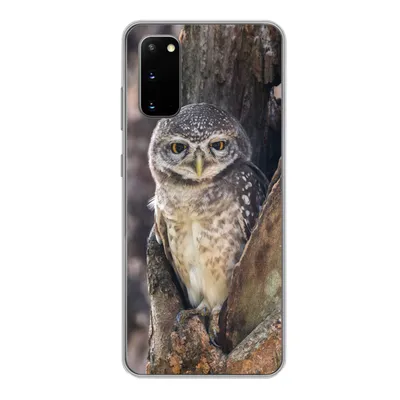 Produktbild von MuchoWow® Handyhülle Schutzhülle Hülle für Samsung Galaxy S20 Eule - Baum - Wald Silikon Softcase Handy Hülle - Bild
