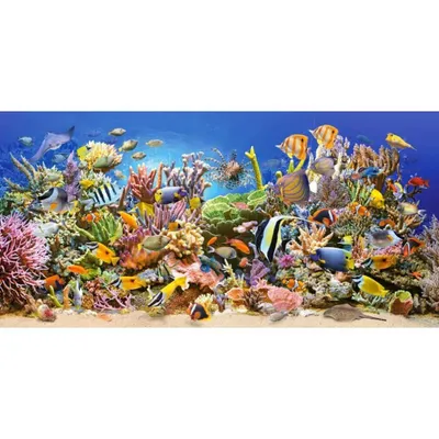Image de Puzzle 4000 pièces Vie sous-marine 400089