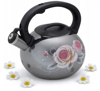 Image de Grande bouilloire émaillée 3,0 L avec sifflet, compatible gaz et induction
