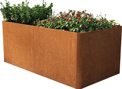 A rectangular Corten steel planter filled with plants, set against a white background.