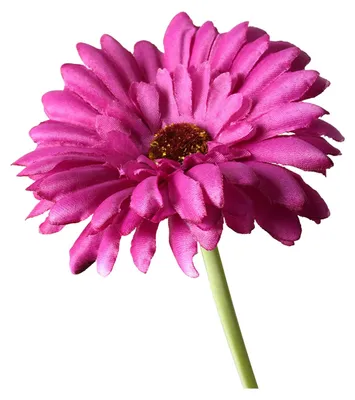 Produktbild von Künstliche Gerbera-Blumen, realistischer, langstieliger Blumenstrauß für Vase, Zimmerblumenarrangements, Hochzeits- und Partytischdekoration