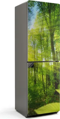 Zdjęcie produktu dla Promienie słońca w lesie - osłona magnetyczna na lodówkę - folia dekoracyjna magnetyczna do kuchni - magnes na lodówkę deco - samoprzylepna tablica magnetyczna - folia magnetyczna na drzwi lodówki - 60x190 cm
