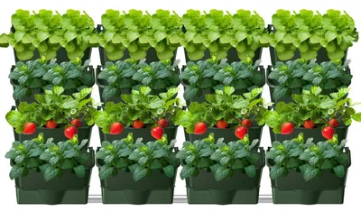 Image de Sacs de plantation pour mur végétal, avec 16 pots, pour l'extérieur