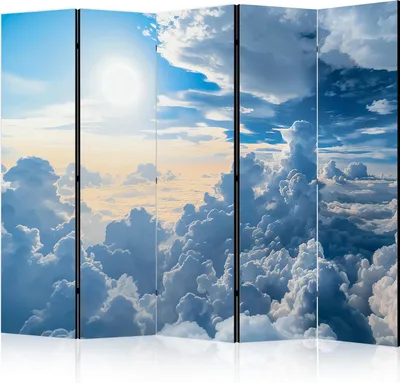 Produktbild von 5-teiliger Einseitiger Vlies Paravent - Symphony of Light: The Sun and Clouds Coordinating in a Beautiful Sky 225x172 cm Landschaften b-H-10048-z-b