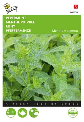 Imagen del producto de Menta | Semillas de menta de Buzzy Seeds