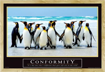 Image de Motivational - Poster - Conformity + cadre interchangeable, Shinsuke® Maxi MDF hêtre, vitre acrylique