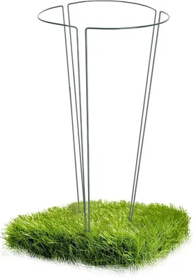 Produktbild von Famanu Blumenhalter 3er Set - Unterstützung für Pflanzen und Sträucher, grün