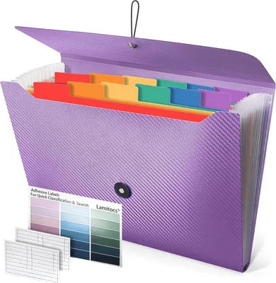 Imagen del producto de Organizador de documentos A4, con 13 compartimentos, de 13 x 24 x 4,5 cm, ampliable, ideal para la escuela