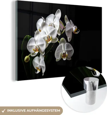 Produktbild von MuchoWow Glasbilder - Bilder auf Wandbild - Foto auf Glas Orchidee - Blumen - Weiß - Natur - Schwarz 30x20 cm Wanddekoration aus Glas - Acrylglasbild - Acrylbilder - Bilder auf glas wandbild
