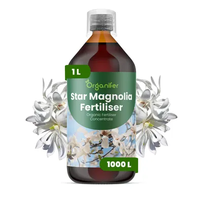 Zdjęcie produktu dla Hviezdna Magnólia Nawóz Płynny 1 L – 3-4-3 NPK – Do Hviezdne Magnólie – Podporuje Bujne Kwiaty i Zdrowy Wzrost – Organifer