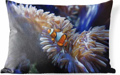 Produktbild von MuchoWow® Outdoor Kissen - Fische - Nemo - Koralle - 60x40 cm - Wetterfest - Lounge Kissen - Zierkissen - Kissen für Innenräume