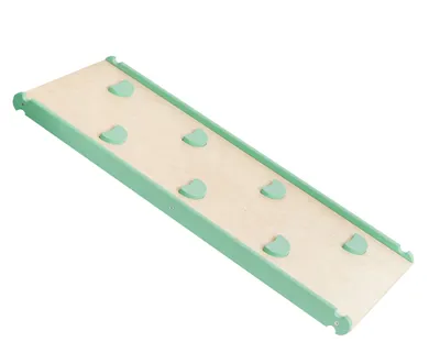 Imagen del producto de Tobogán interior, tobogán de madera para niños | Moon Green