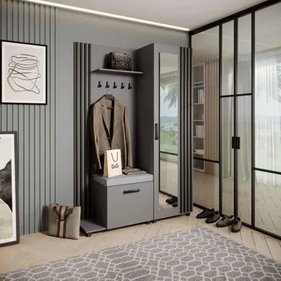 Image de Armoire LIVIA – Ensemble vestiaire avec miroir et cintres, graphite, lamelles noires, coussin d'assise gris, gauche