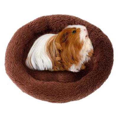 Produktbild von Haustierbett Rund aus Plüsch für Hamster Kaninchen Chinchilla Eichhörnchen Igel Schlafmatte Kleintierbetten braun