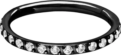 Produktbild von Ohrpiercing, Nasenpiercing, Septum Piercing Titan Segmentring Clicker EINGEFASSTE KRISTALLE Schwarz Innendurchmesser: 10mm + Stabstärke: 1,2mm
