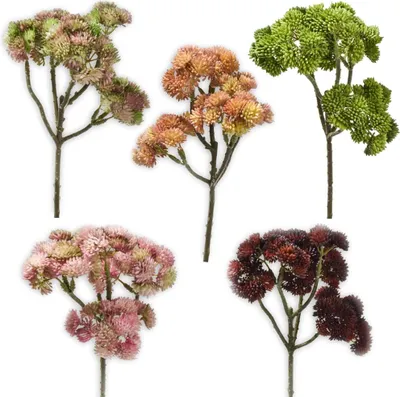 Produktbild von Fetthenne Kunstblume Zweige Kunstpflanzen Dekopflanze 1 Stk 30 cm - 5 Farben, 5_Farbe:Dunkelrot