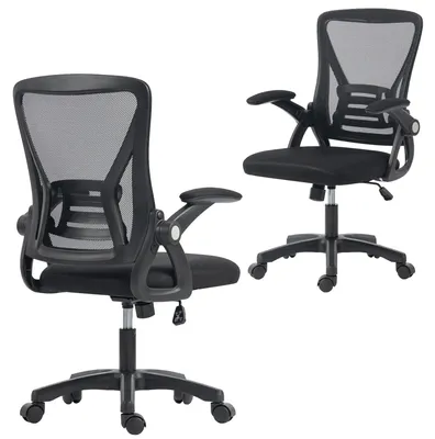 Produktbild von Bürostuhl ergonomisch höhenverstellbar Armlehnen Lendenstütze Schwarz für Wohnzimmer und Zuhause