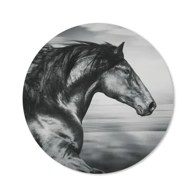 Produktbild von MuchoWow® Mauspad Mousepad Pferd - Tiere - Schwarz - Weiß 40x40 cm - Mousepads - Maus Mat - Pad - Mausunterlage - Schreibtisch Accessoires