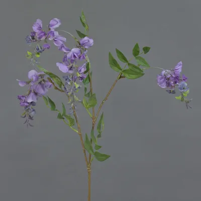Produktbild von artplants.de Blauregen Kunstzweig SOULA mit Blüten, lila, 80cm - Künstlicher Blauregen Zweig