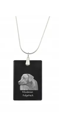 Image de Rhodesian Ridgeback - Pendentif en cristal avec chien, collier avec photo, bijoux uniques d'Art-Dog