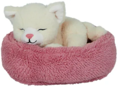 Produktbild von Lustige Tierparade - Schlafende Katze Penny im Kor