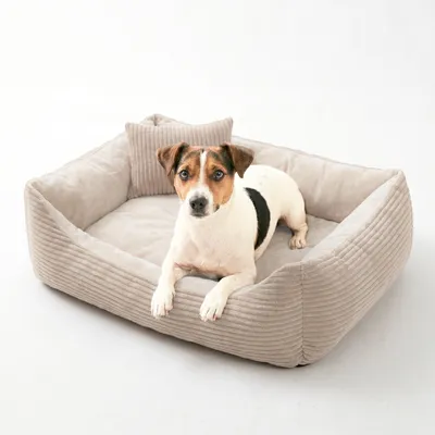 Produktbild von 4L Textil MOLLY Kuscheliges Cord Hundebett kleine Hunde Hundekorb Katzenbett Hundekörbchen (60x40 cm, Beige)