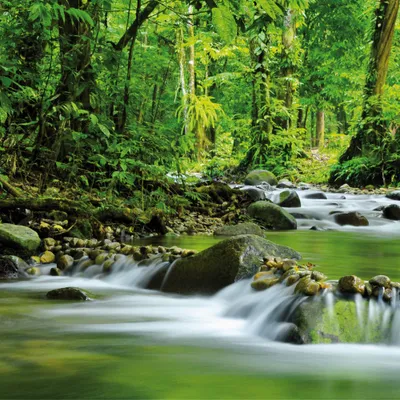 Produktbild von Wälder Kunstdruck Bild - Magischer Gebirgs-Fluss (70 x 70 cm)