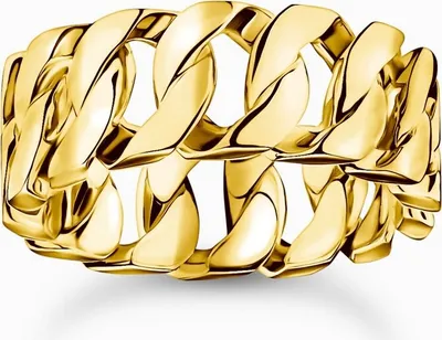 Produktbild von Thomas Sabo Rebel Basics TR2497-413-39 Ring, Ringgröße:60