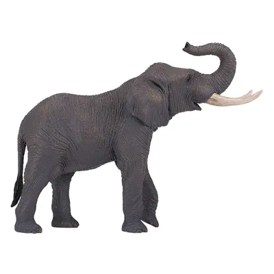 Immagine prodotto di Mojo Elefante Africano