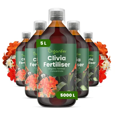 Obrázok produktu pre Clivia, tekuté hnojivo, 5 x 1 liter – vzťah živín NPK: 3-4-3 – Vhodné pre kvitnúce rastliny – Pre zdravé listy a bohaté kvitnutie – Podporuje rast koreňov a vitalitu – Organický produkt