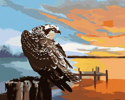 Produktbild von Zuty - Malen nach Zahlen - ADLER, STEG UND SONNENUNTERGANG (D. RUSTY RUST), 40x50 cm, ohne Keilrahmen