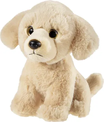 Obrázok produktu pre heunec MISANIMO MEDI-MI Golden Retriever - mäkká hračka pes