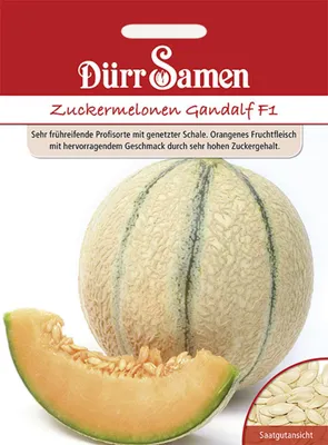 Produktbild von Dürr-Samen - Zuckermelone Gandalf F1 - Saatgut - 0144