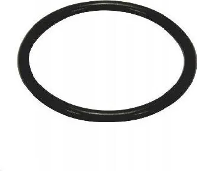Obrázek produktu pro Oring Śrubunku 1/2''