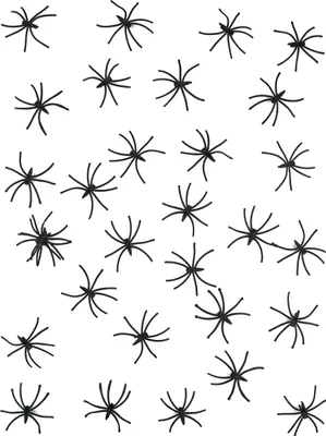 Produktbild von Spinnen Halloween-Deko 24 Stück schwarz 5x5cm - Einheitsgröße