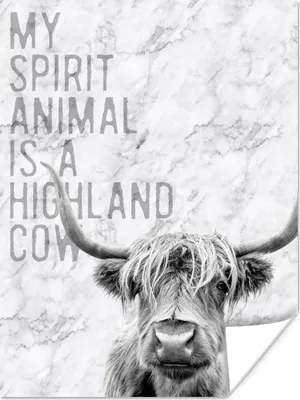 Produktbild von MuchoWow® Poster Schottischer Highlander - Zitat - Schwarz - Weiß 90x120 cm - Wohnzimmer