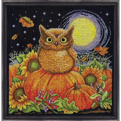 Obrázek produktu pro Design Works – sada pro vyšívání křížovým stehem „Sova na žních“, vzor k vyšívání, 30 x 30 cm