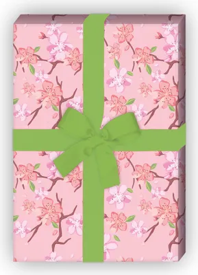 Produktbild von Frühlings Geschenkpapier für liebevolle Geschenke Set in rosa - G6438, 32 x 48cm
