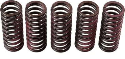 Produktbild von Zf Kupplungsfedern Für Kawasaki Kx 125 '03-'08, Kx 250F '04-,
