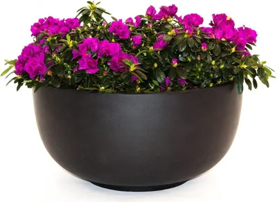 Produktbild von Elegant Einrichten | Pflanzkübel | Fiberglas | rund | D60xH30cm | elegant schwarz-matt.