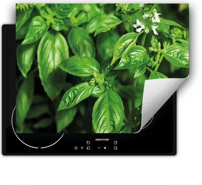 Produktbild von DarHaus Herdabdeckplatte 80x52 cm Anti Rutsch Matte Aufrollbar, grün - Minze