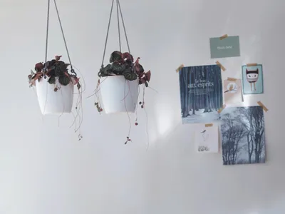 Obrázek produktu pro elho brussels hanging basket 18cm, Košíkový květináč, Hanging, Polypropylen (PP), Bílá, Kulatý, Vnitřní