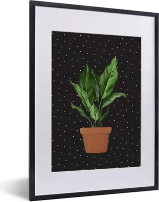 Produktbild von MuchoWow® MuchoWow® Gerahmtes Poster Zimmerpflanzen - Blumentopf - Dots 30x40 cm - Poster mit zchwarzem Bilderrahmen - Wandposter Schlafzimmer
