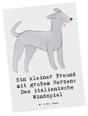 Produktbild von Mr. & Mrs. Panda Postkarte Italienisches Windspiel - Weiß - Geschenk, zärtliche Natur, Hunderassen Beschreibung, Hund mit Charakter, Postkarten, Hunde, Fotokarte