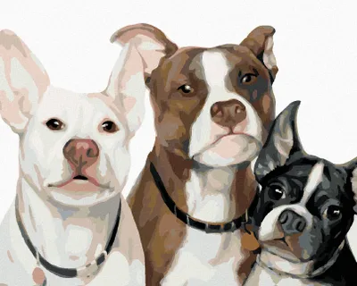 Produktbild von Zuty - Malen nach Zahlen - HUNDEFAMILIE (MYROSLAVA VOLOSCHUK), 40x50 cm, ohne Keilrahmen