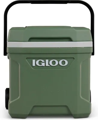 Produktbild von ECOCOOL Latitude 16 Roller (grün/weiß)