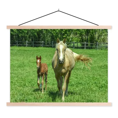 Produktbild von MuchoWow® Textilposter Pferd - Fohlen - Tiere 60x45 cm mit holzfarbenen Rahmen - Bild